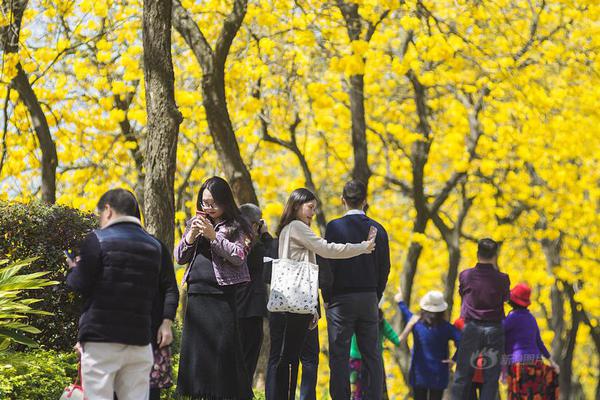 飞剑问仙h5官方下载