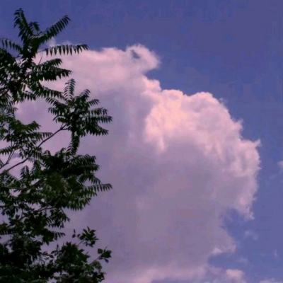 雷龙出击变态版下载